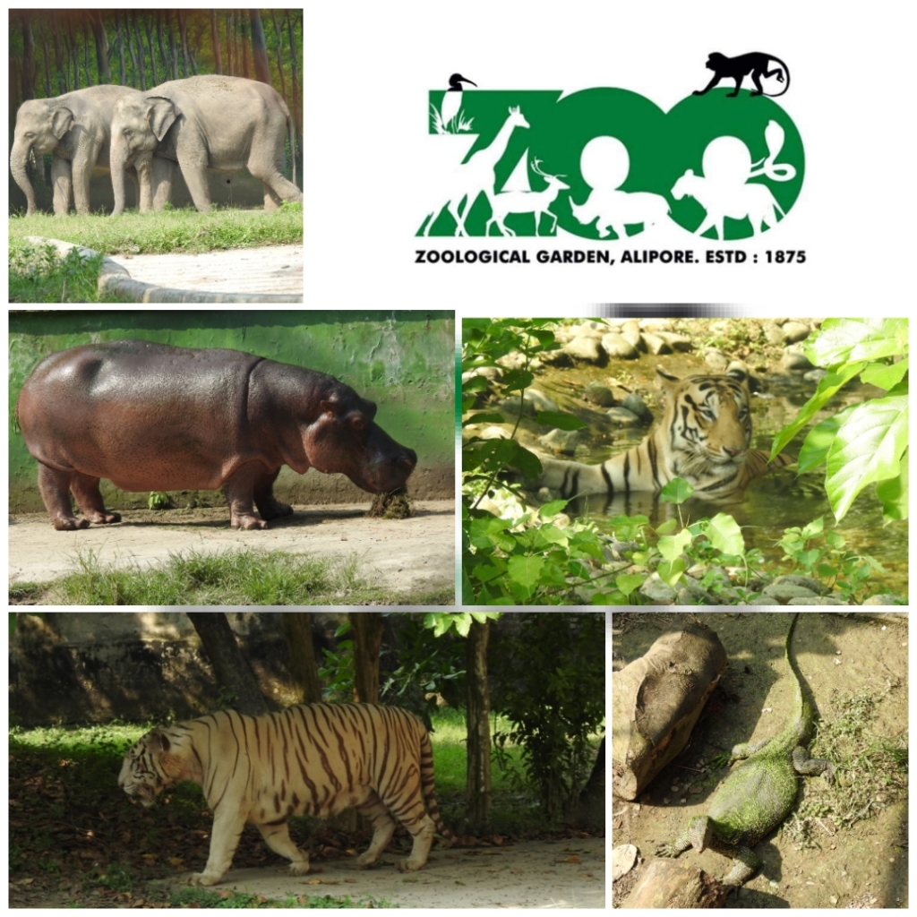 The Major Attractions of Zoological Garden, Alipore, Kolkata
